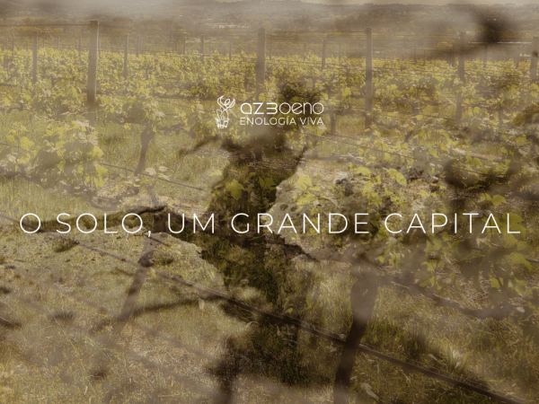 O solo, um grande capital | AZ3 Oeno